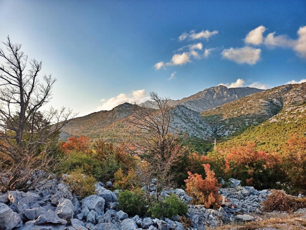Apartmani Verica Karlobag Bagian luar foto
